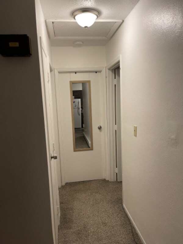 Building Photo - 244-246 Forest St