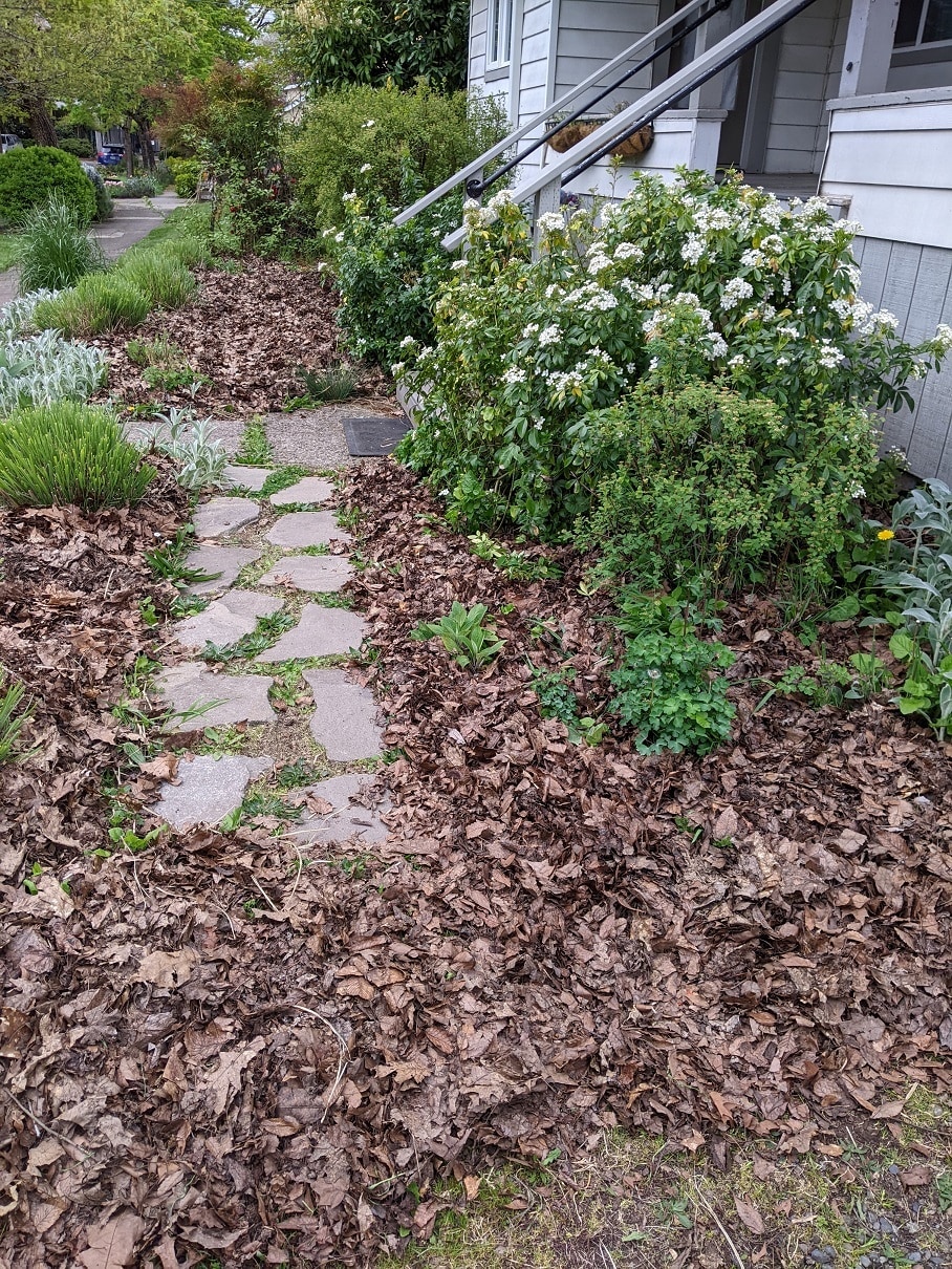 Frontyard Pathway - 1124 Almaden St