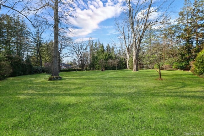 Building Photo - 59 Park Rd