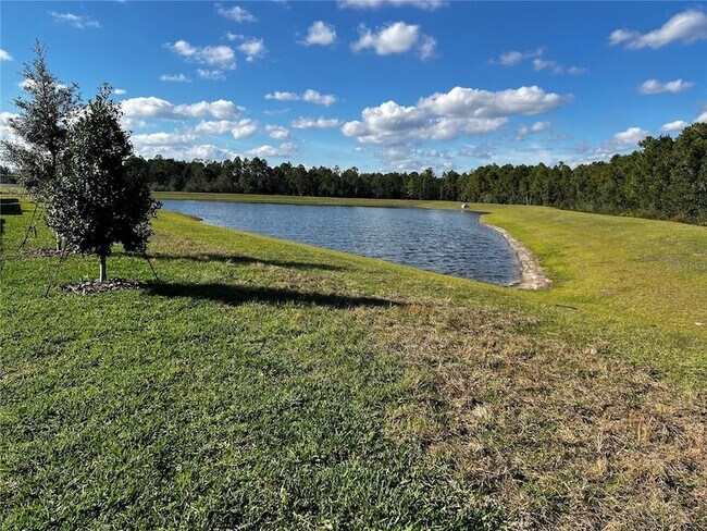 Building Photo - 12893 Harvest Rain Ave