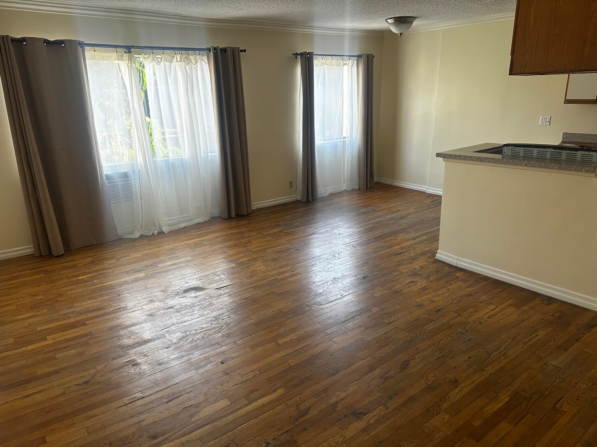 Living room - 5853 Virginia Ave