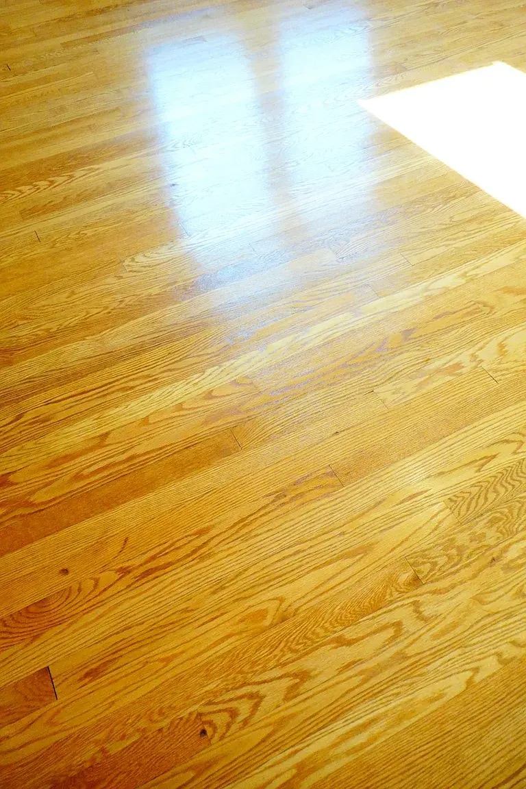 Building Photo - 910 Kennebec Ave