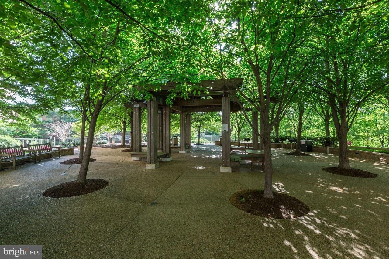 Courtyard pavilion. Community grill to the left (out of frame). - 4141 N Henderson Rd