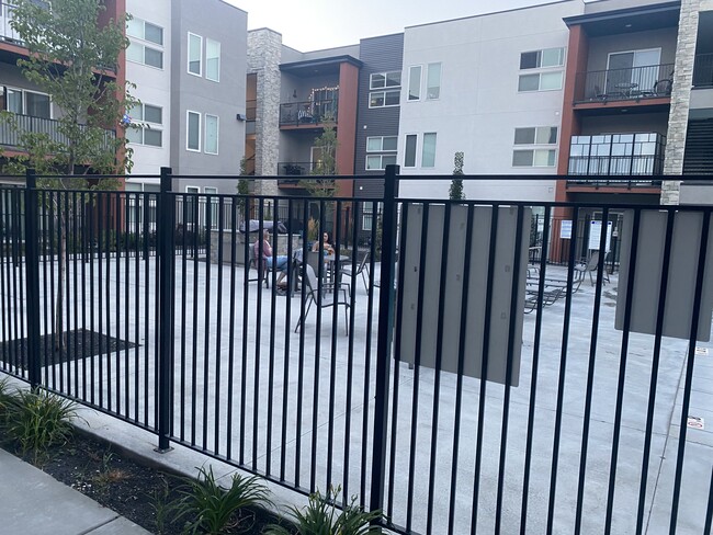 Pool Area with BBQ - 875 S Depot St