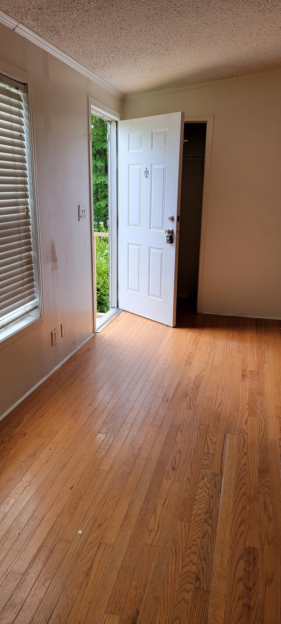 Entry way - 8936 Turner Dr