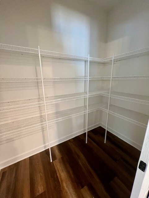 Building Photo - 1615 Palomino Trl