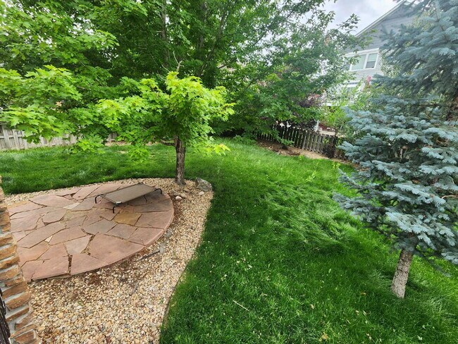 Building Photo - Beautiful 4 Bedroom Home In Beacon Point! Cherry Creek Schools!