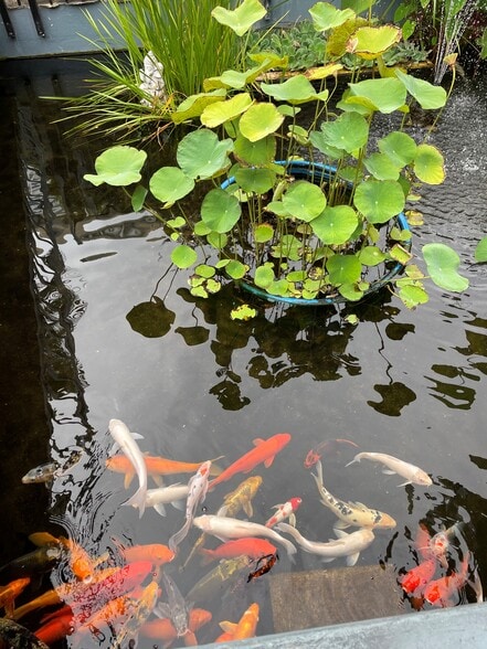 front of the building - 1550 Rycroft St