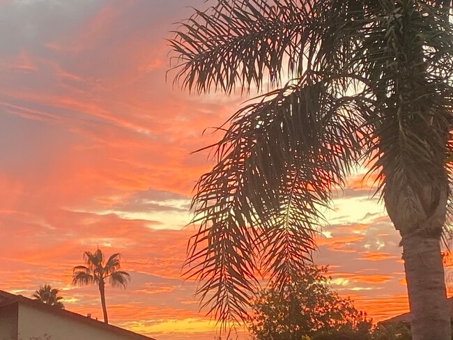 Building Photo - 13730 Mindora Ave