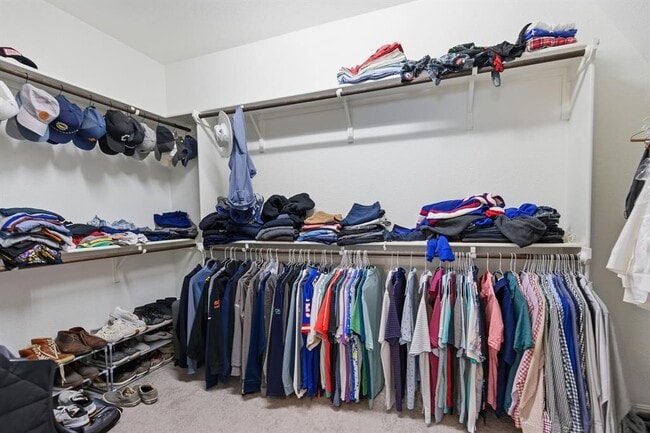 Building Photo - 12017 Texana Trl