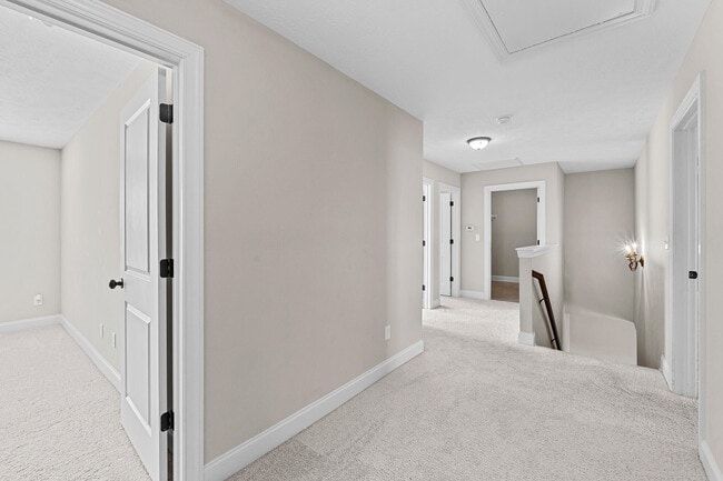 Building Photo - 2208 Jeannie Bell Ct