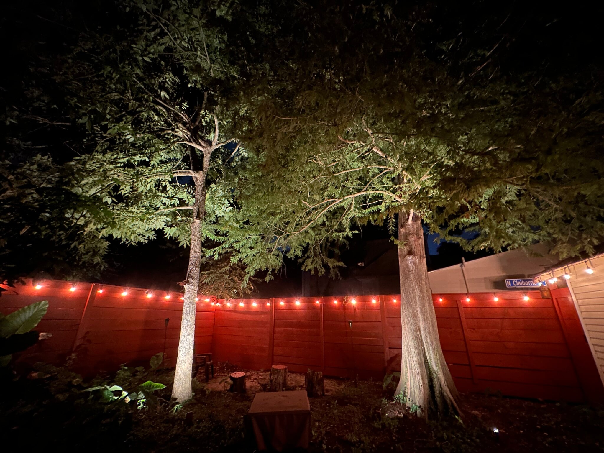 Rear Garden - 3821 Dauphine St