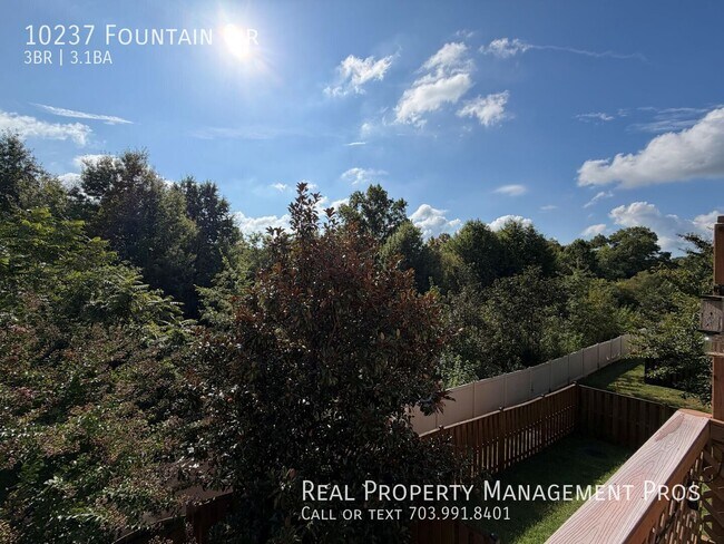Building Photo - 10237 Fountain Cir