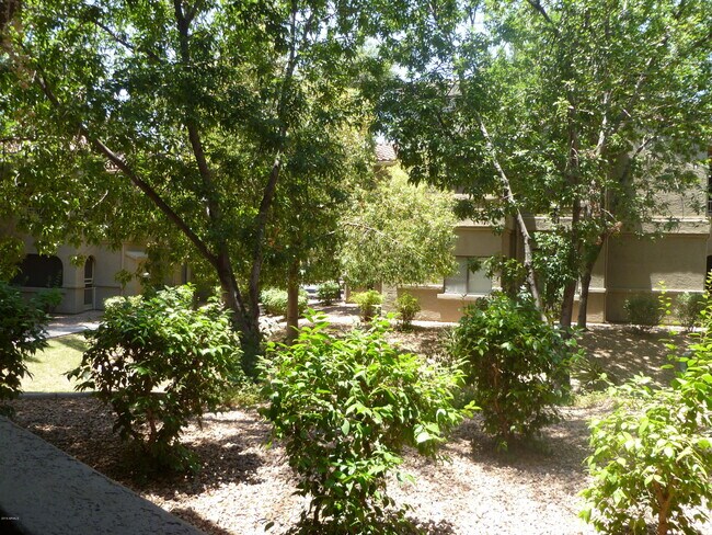 Building Photo - 15050 N Thompson Peak Pkwy