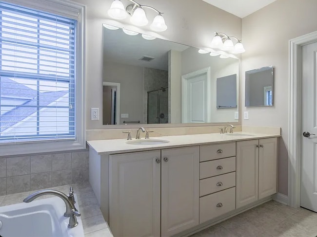 master bath - 4223 Tuller Ridge Dr