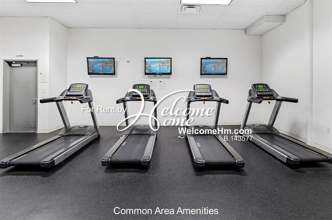 Building Photo - Downtown High-rise Montage AMAZING UPGRADES