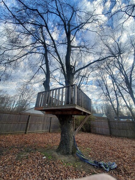 Tree house - 20 Princeton St