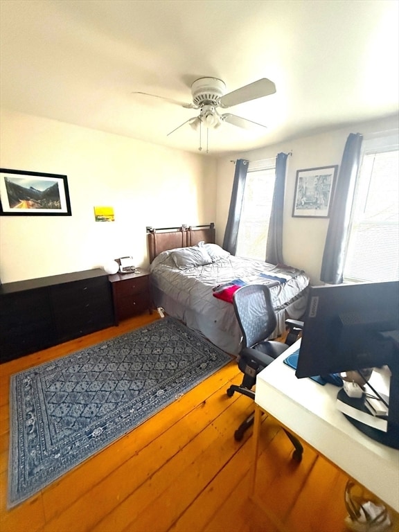 Building Photo - 3 Paige Ave