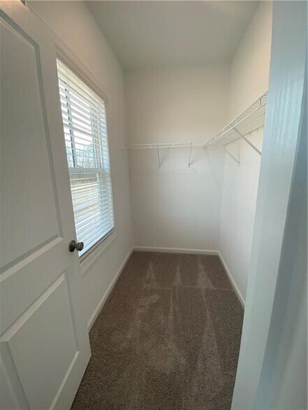 Building Photo - 805 Green Sapling Trl