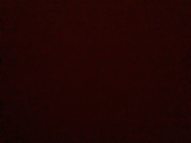 Building Photo - 305 N 3rd Ave