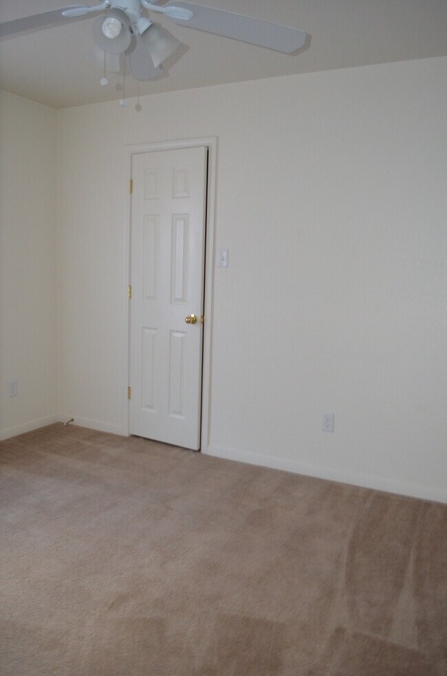 Building Photo - 913Daisy