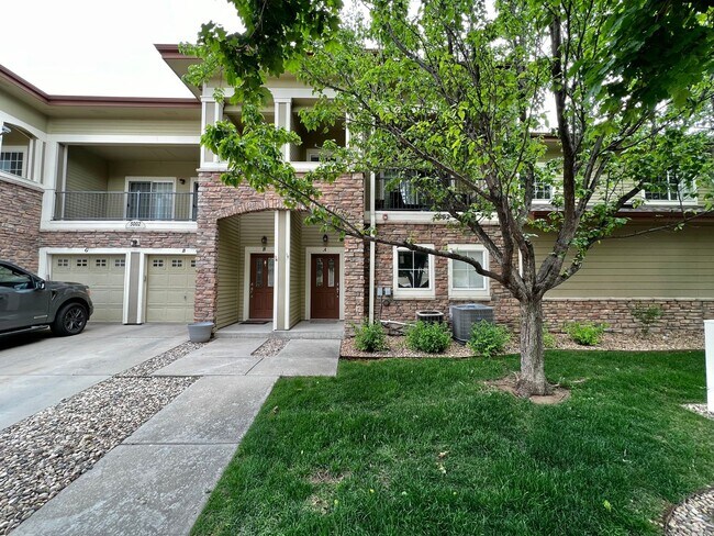 Primary Photo - Beautiful Condo in South Fort Collins