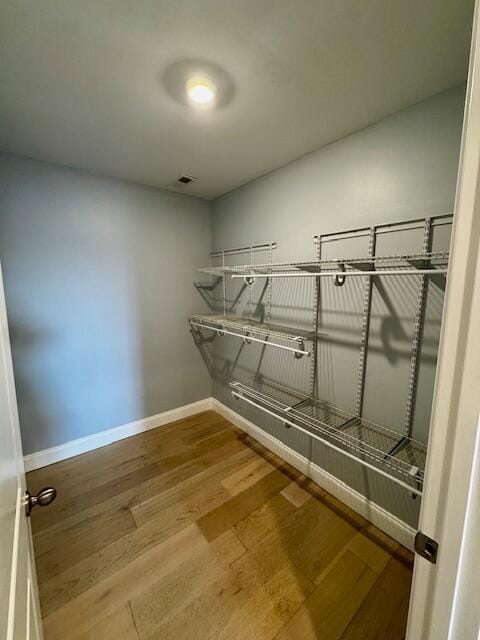 Building Photo - 1013 Squirrel Nest Ln