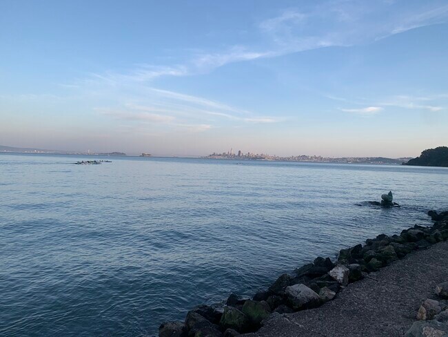Take relaxing walks along the water, with stunning views of the Bay & city scapes in the distance - 31 Princess Ln