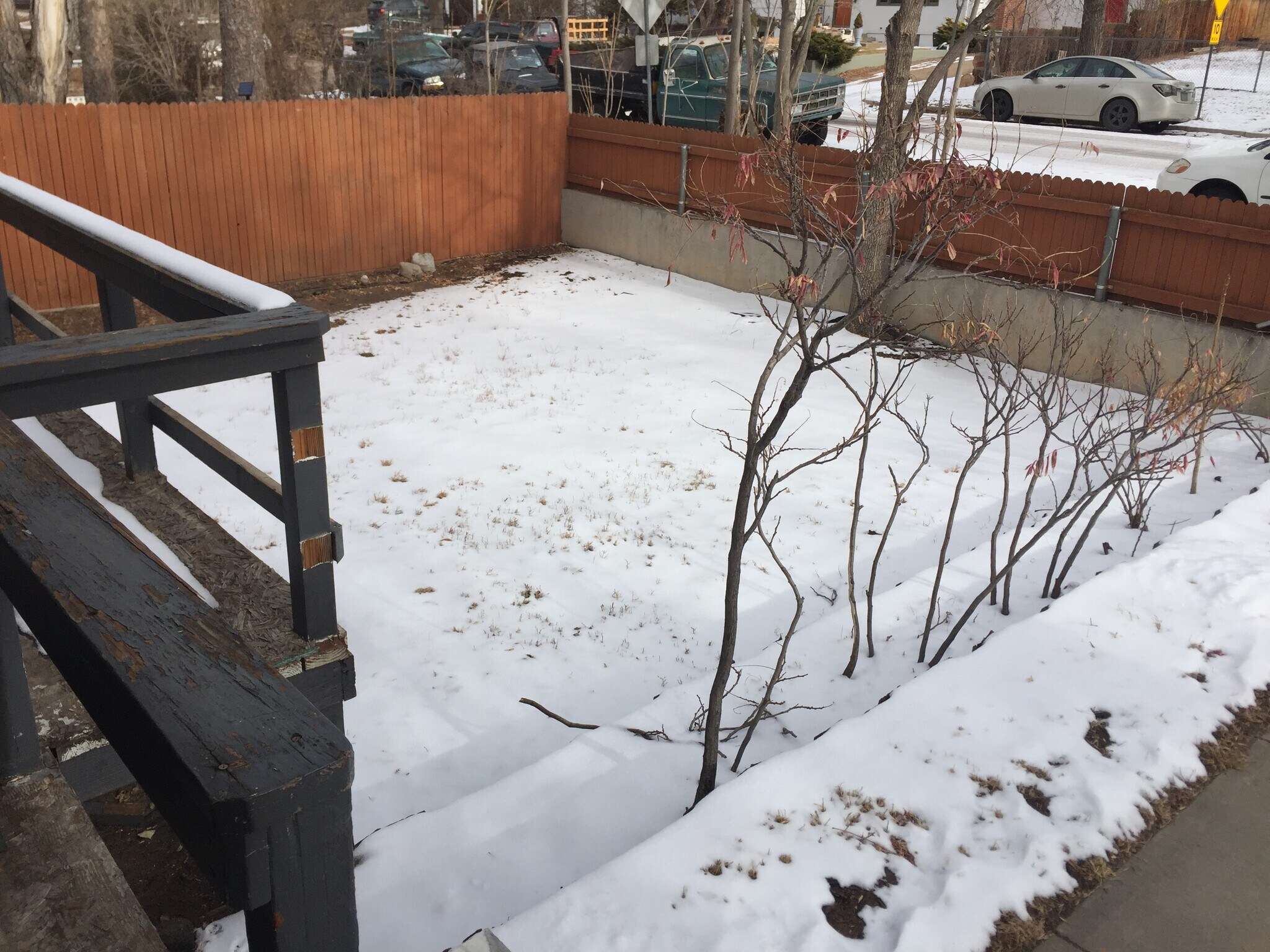 Front Yard - 2604 Tremont St