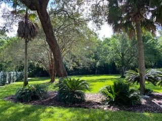 Building Photo - Large Fenced Yard!  Rainbow Woods Home For Rent