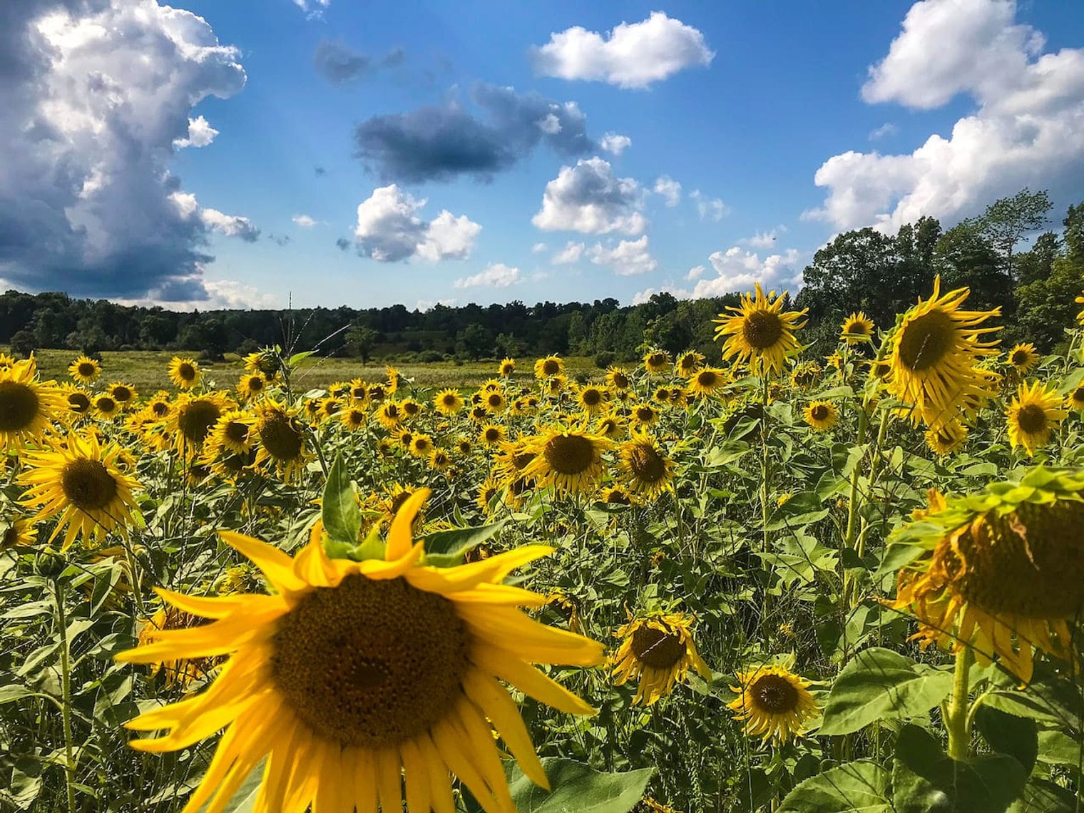 Building Photo - 93 Zych Rd