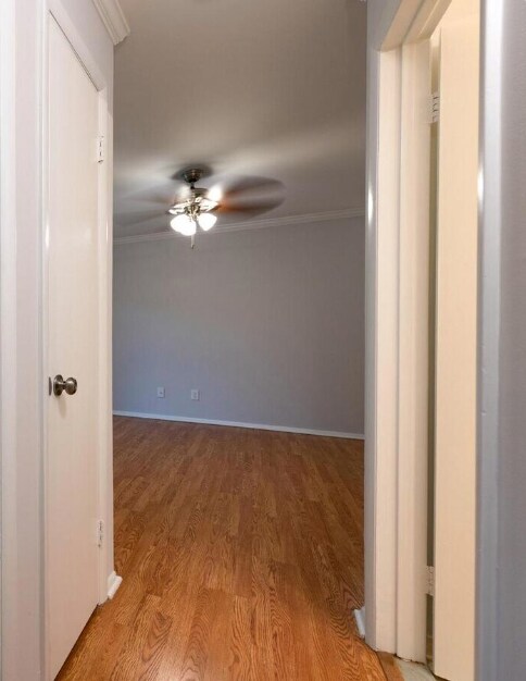 Building Photo - 7903 Coriander Dr