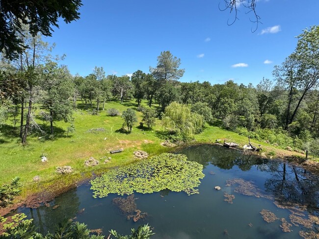 Primary Photo - Scenic North Auburn Living – 1 bedroom 2-S...