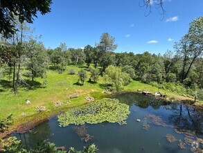 Building Photo - Scenic North Auburn Living – 1 bedroom 2-S...