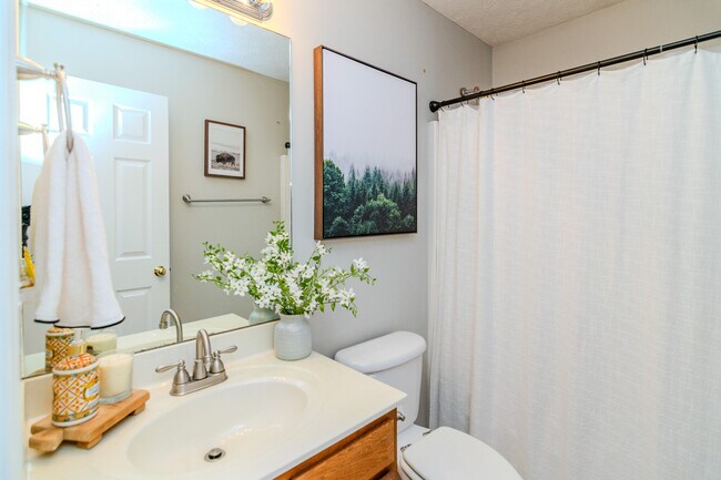 Building Photo - 3041 Sewanee Ln