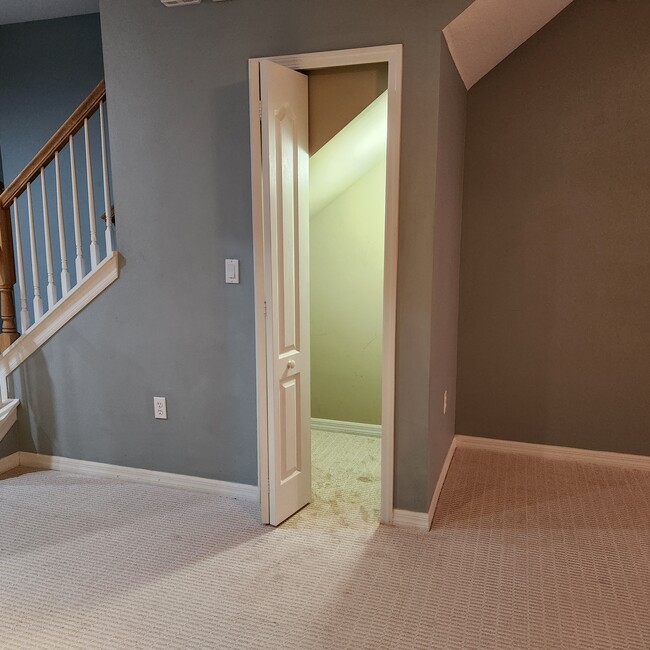 Living room/storage under the stairs - 15623 Stable Run Dr