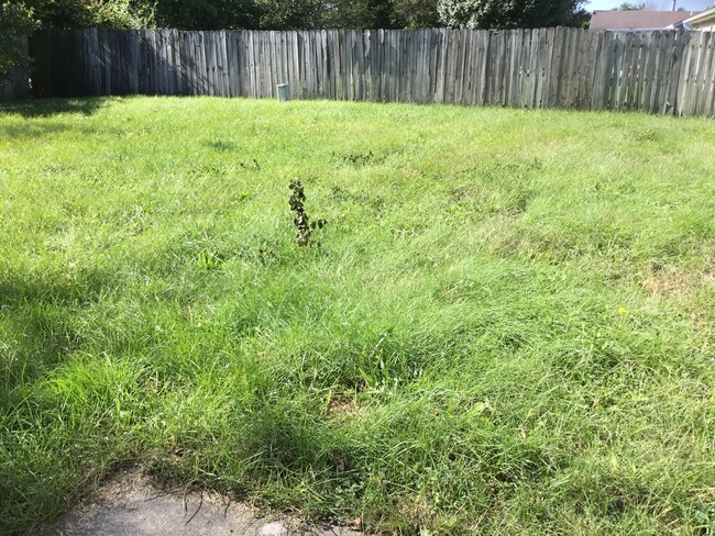 Primary Photo - 317 Cheshire Ln