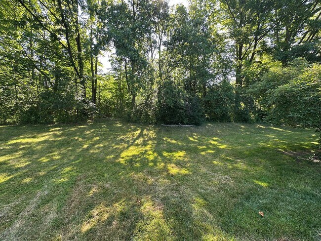 Building Photo - Large Home in Forest Hills School District