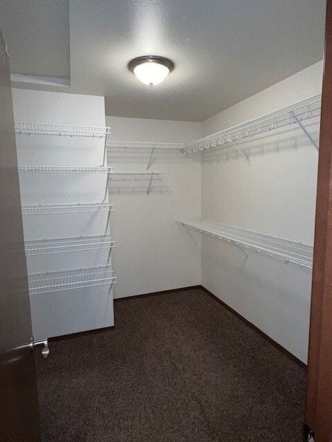 Building Photo - 2025 Aaron Dr
