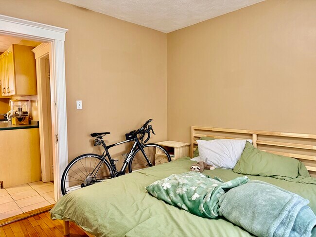 Building Photo - 37 Hilton St