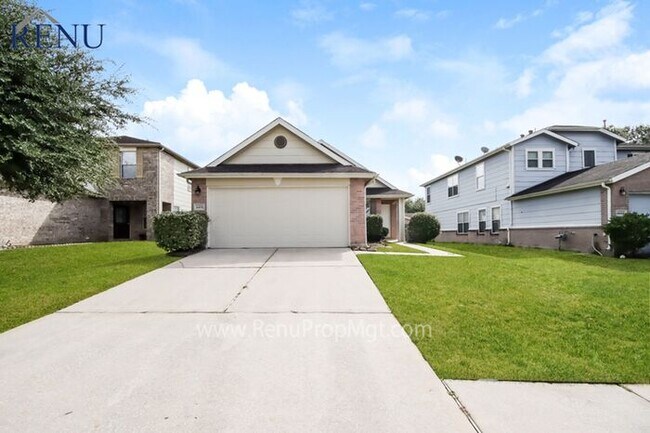 Primary Photo - Available Now!