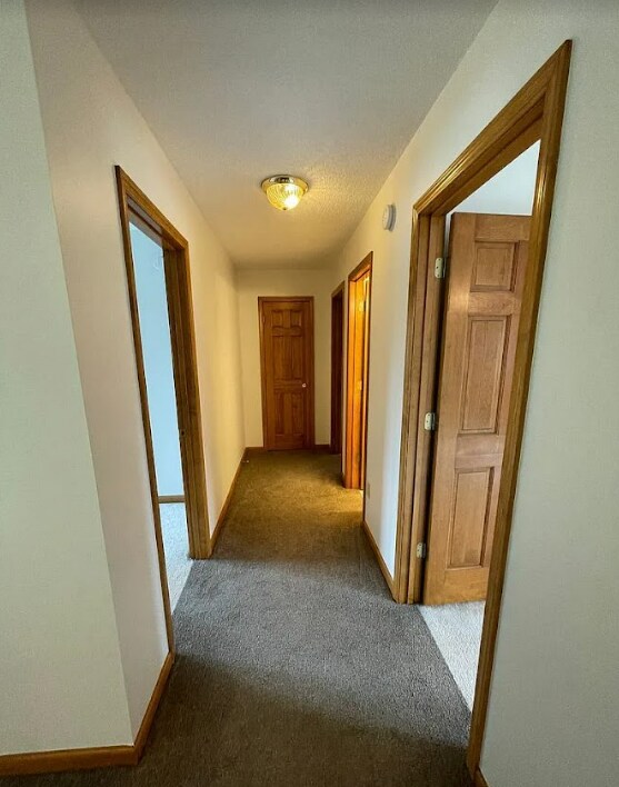Building Photo - 16134 Silver Shadow Ln