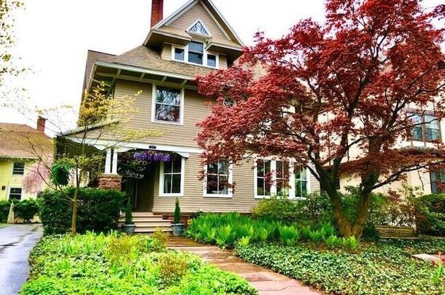 Primary Photo - 517 Park Ave