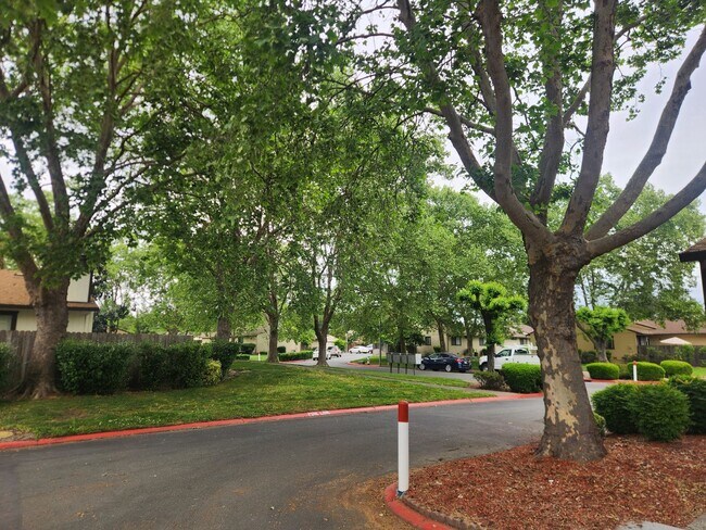 Building Photo - Charming 2-bedroom, 2- bathroom home in park like setting close to downtown Santa Rosa