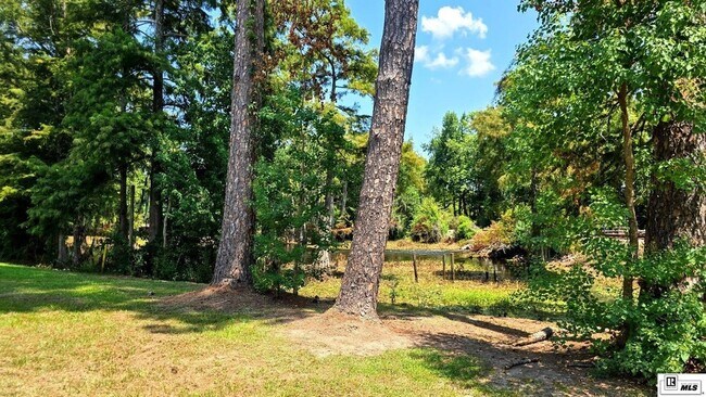 Building Photo - 923 Fortune Dr