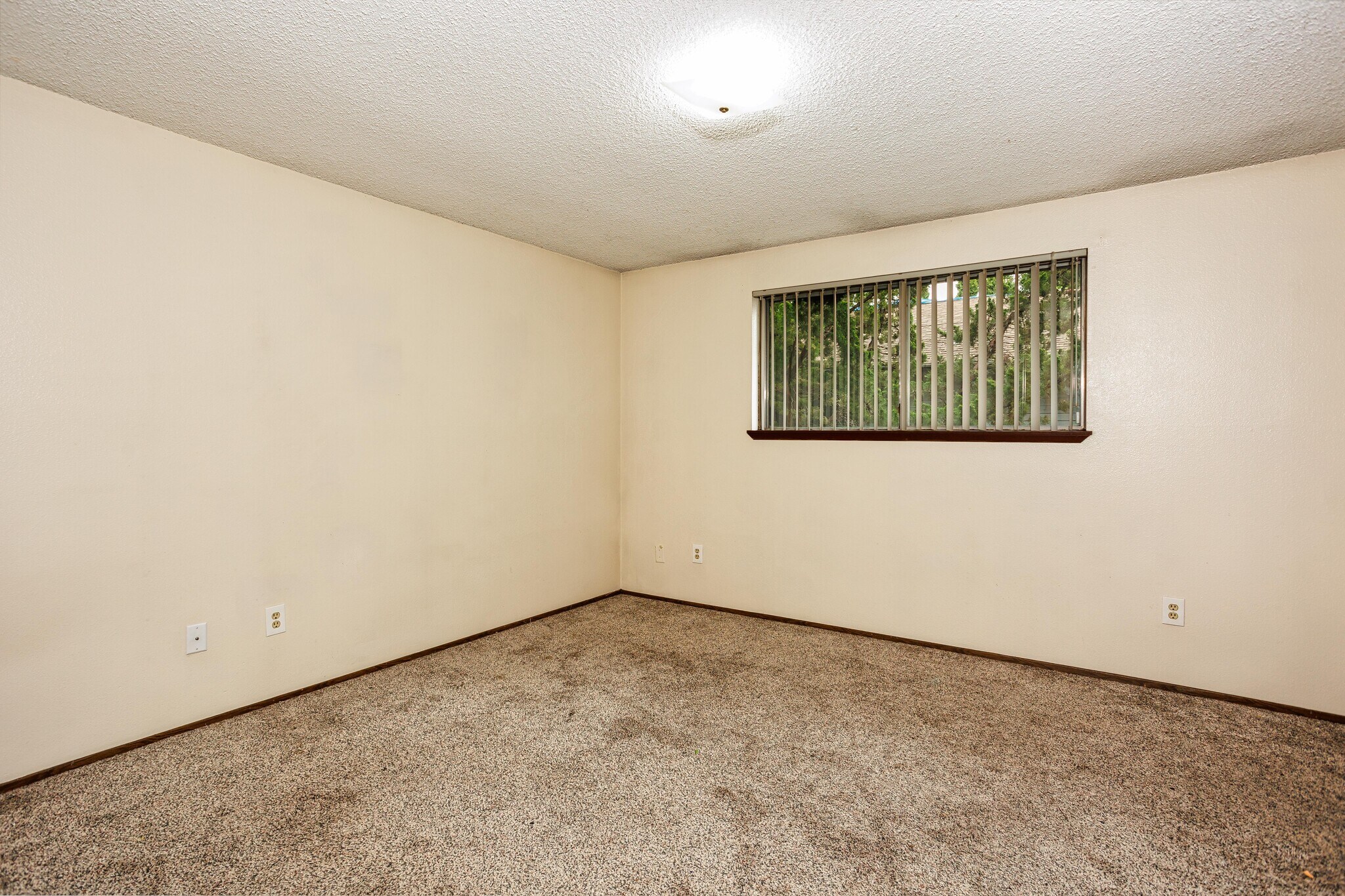 Building Photo - 4311 Plomondon St