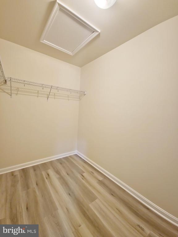 Building Photo - 4705 Verdana Lp
