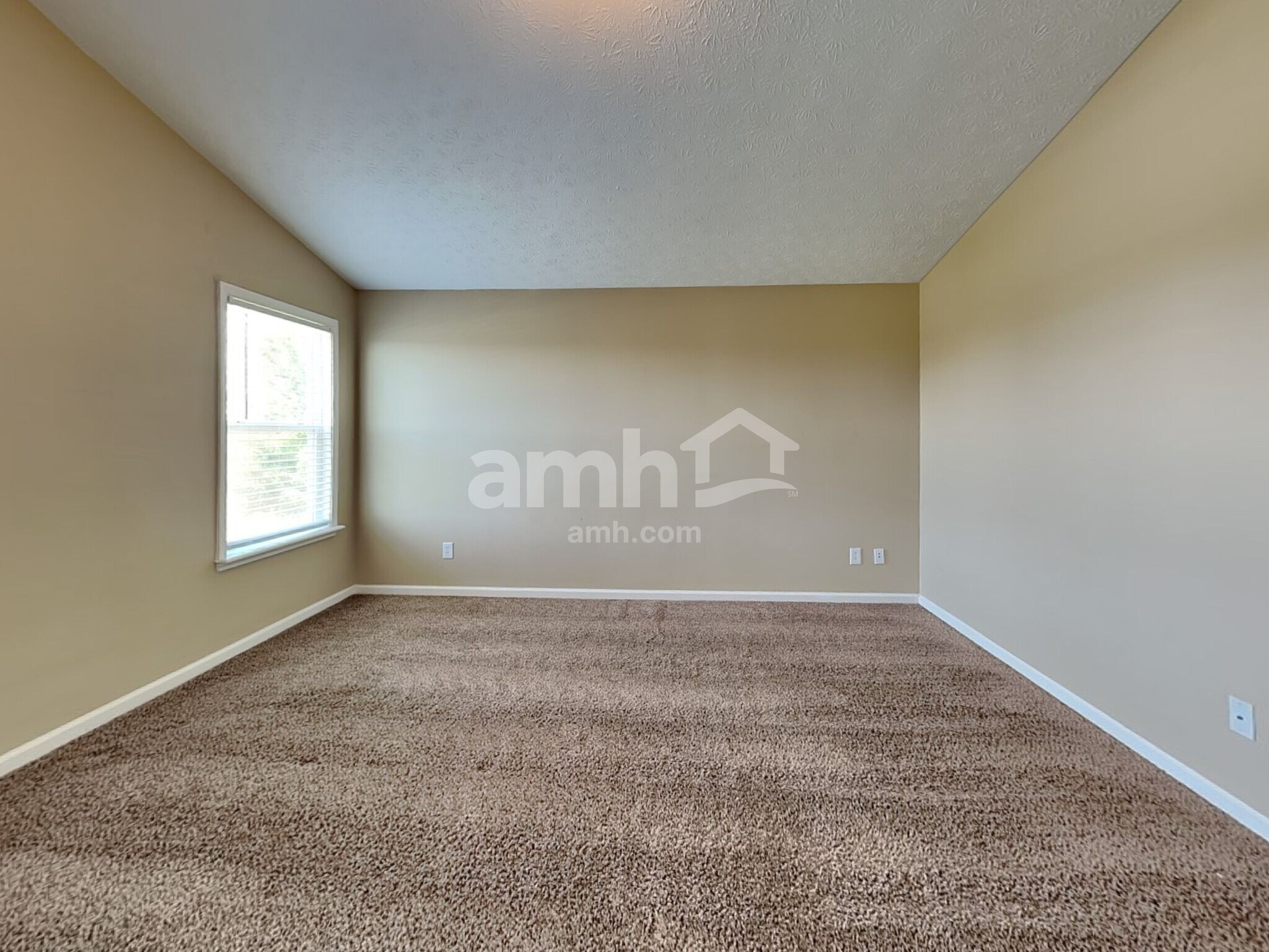 Building Photo - 3862 Dusty Sands Rd