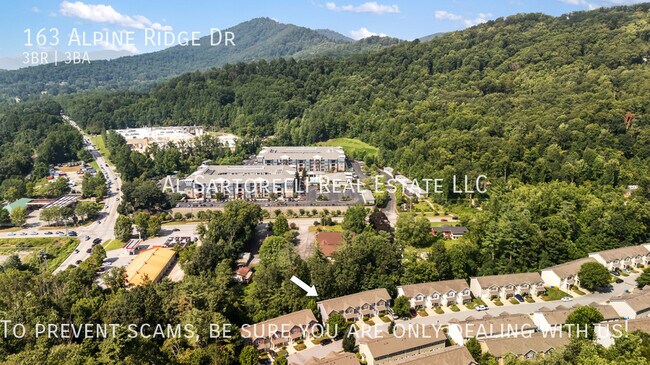 Building Photo - 163 Alpine Ridge Dr