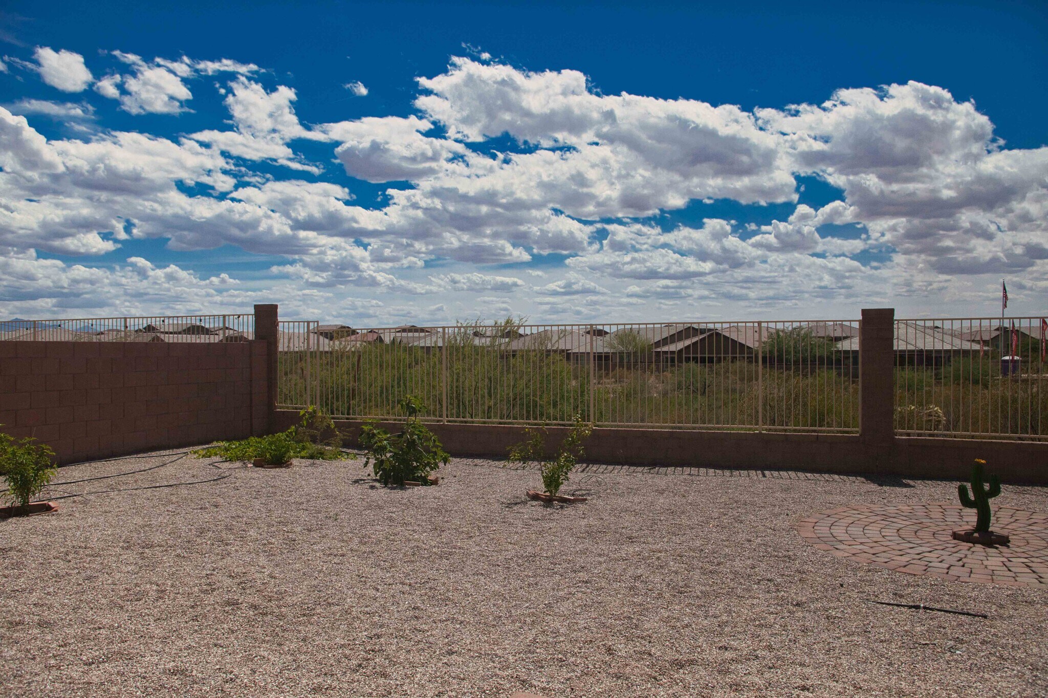 Building Photo - 7856 S Bonanza Park Dr